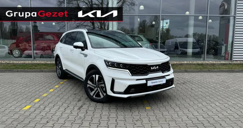 samochody osobowe Kia Sorento cena 237057 przebieg: 5, rok produkcji 2023 z Tarczyn